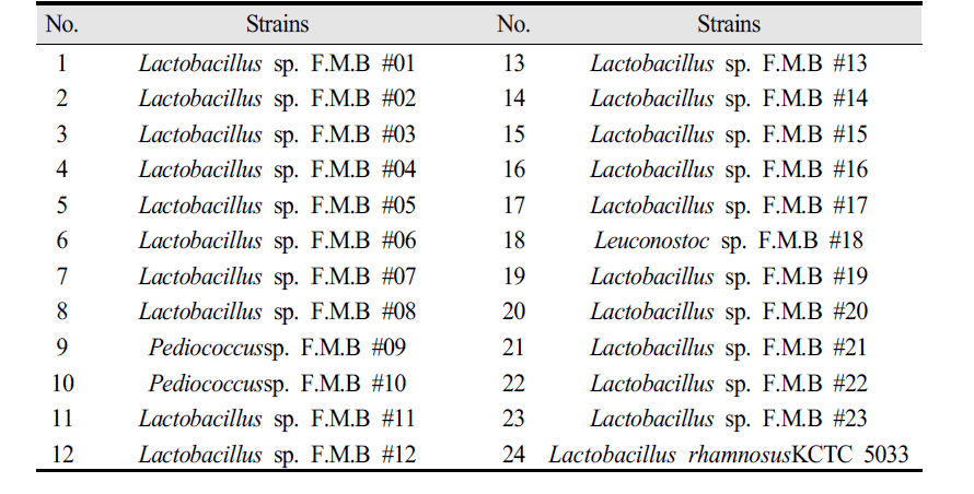 김치에서 분리한 유산균 23종 및 표준균주