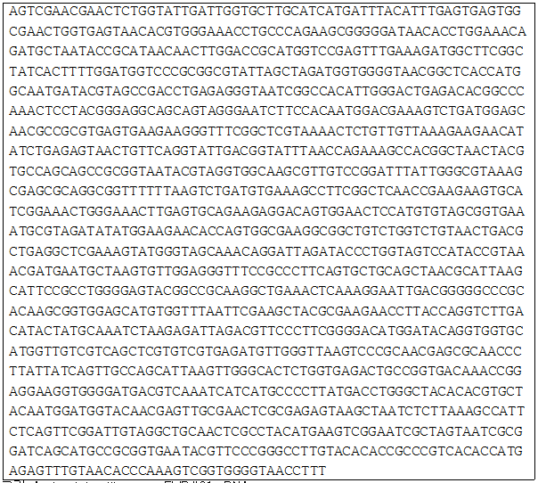 16s rRNA sequence