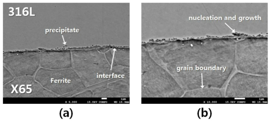 가열 온도 900℃, 단면 감소율 20%에서 클래드 접합 영역의 형상 관찰 (a) 5,000x, (b) 10,000x