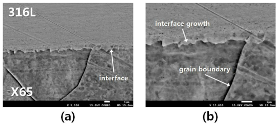 가열 온도 1200℃, 단면 감소율 20%에서 클래드 접합 영역의 형상 관찰 (a) 5,000x, (b) 10,000x