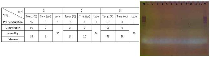 반응온도 및 시간변경 테스트-2