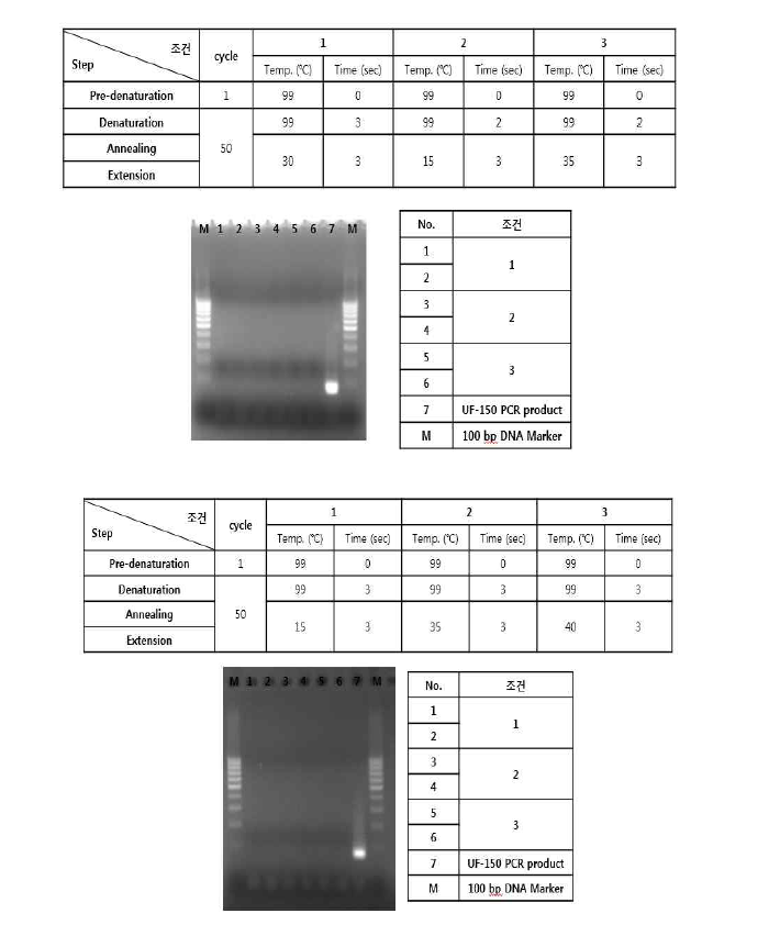멤브레인 히터의 전압조절 후 PCR반응 결과
