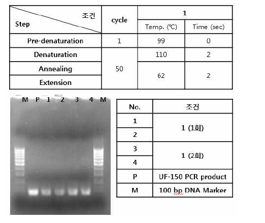 멤브레인 히터의 열부하를 늘린 PCR반응 결과-1