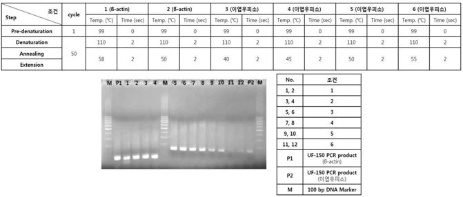 멤브레인 히터의 열부하를 늘린 PCR반응 결과-2