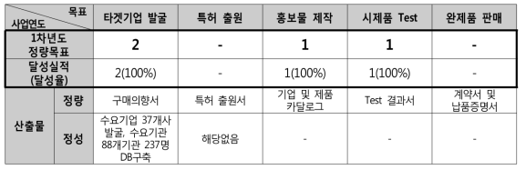 1차년도 마케팅/매출 목표 대비 달성실적