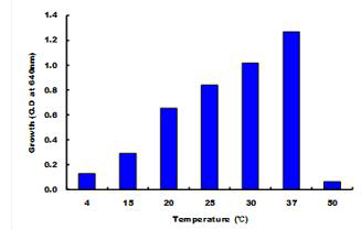 온도에 따른 Lactobacillus brevis BJ-20 생육도