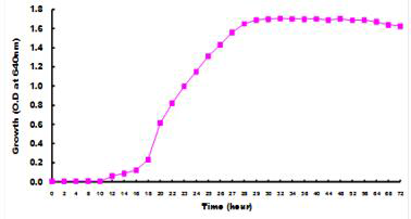 Lactobacillus brevis BJ-20 성장곡선