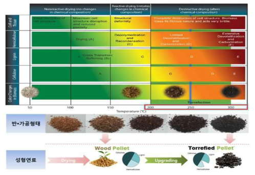 목질계 바이오매스의 고품위화(반탄화) 기술의 열화학적 변환과정
