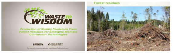 미국 DOE 지원 산림 부산물 처리기술 project
