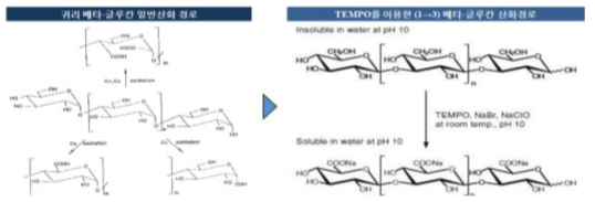 사업화 대상기술의 베타-글루칸 산화경로