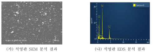 규조류 및 상용화 TiO2 석영판 표면 고정에 따른 SEM, EDS 분석 결과