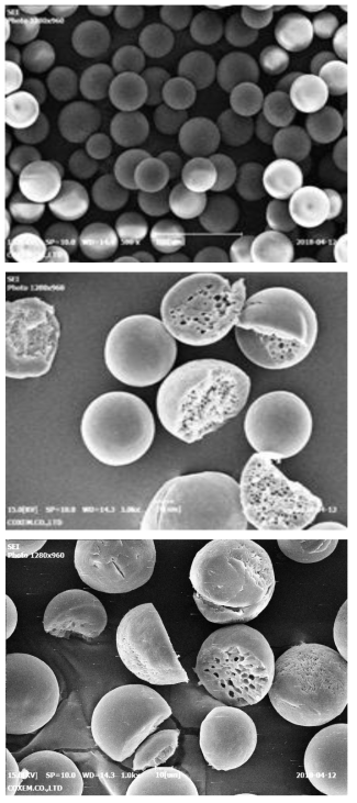 DMSO without Porogen B, Porogen B with 10% DMSO, Porogen B with 5% DMSO