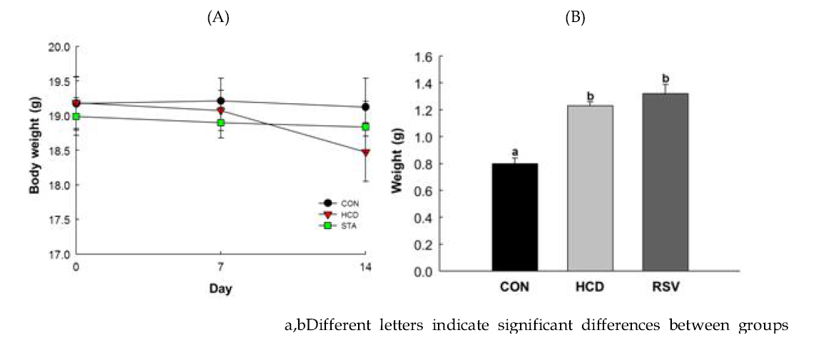 HCD 및 로수바스타틴 투여군의 체중 변화(A) 및 간의 무게(B)