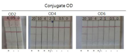 Gold conjugate OD별 test 결과.