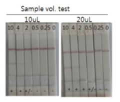 Sample volume test 결과