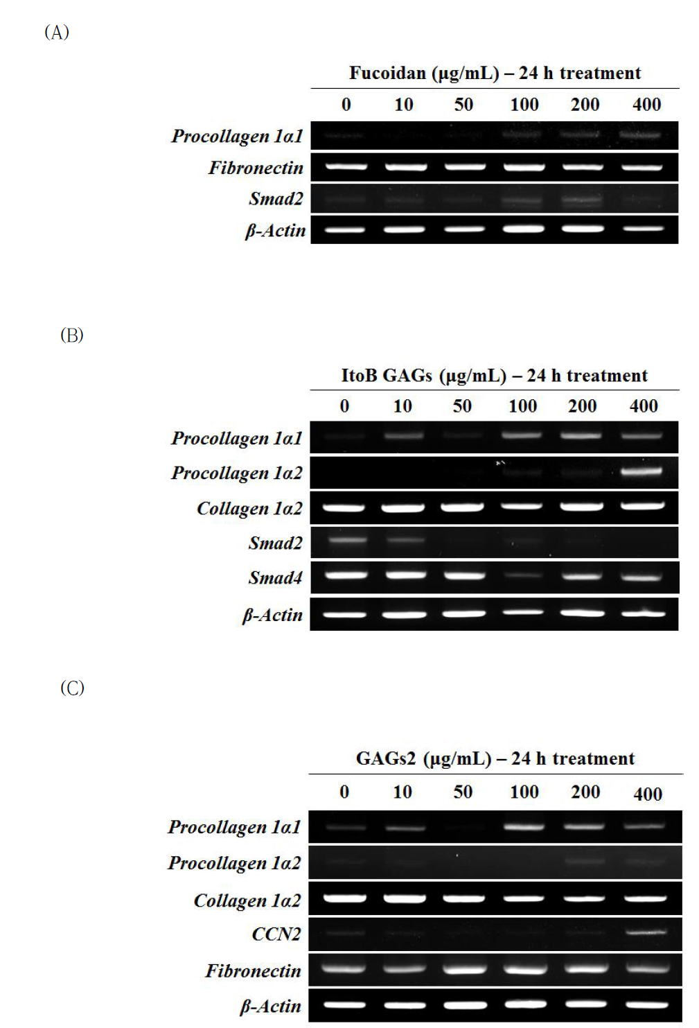 Effects of fucoidan, ItoB GAGs, and GAGs2 treatment for 24hr on the skin-fibril related mRNA expression levels