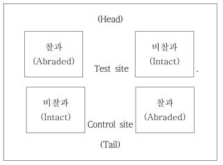 피부처치부위