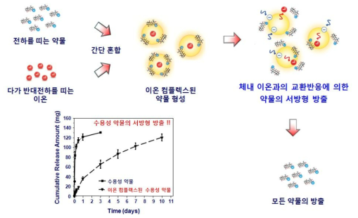 평가대상기술의 이온 컴플렉스의 형성 및 약물 방출 모식도