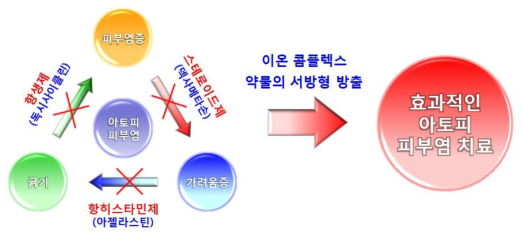 아토피 치료제로의 응용