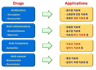 평가대상기술인 이온 컴플렉스 응용이 가능한 약물 및 질환