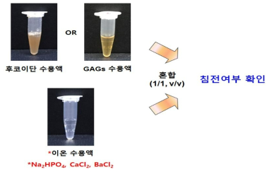 후코이단 및 글리코사미노글리칸(GAGs)의 이온 복합체 형성 과정.