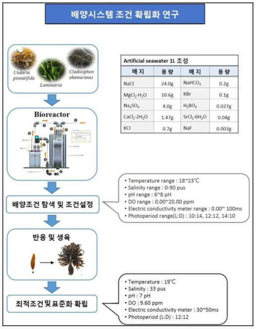 생물 반응기 조건확립 작업내역도