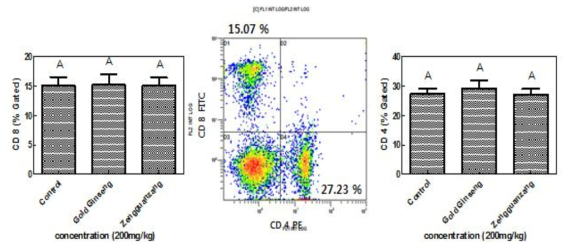 황금홍삼과 정관장홍삼의 BALB/c 마우스의 비장에 있는 면역세포 CD4와 CD8의 증식능 측정 결과