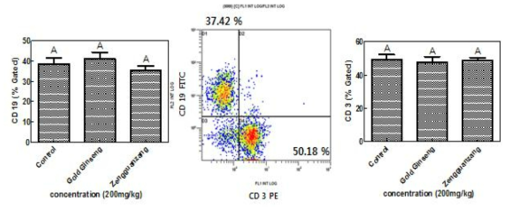 황금홍삼과 정관장홍삼의 BALB/c 마우스의 비장에 있는 면역세포 CD19와 CD3b의 증식능 측정 결과