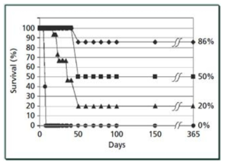 Graph of mice survival after various treatments of subcutaneous EMT-6 tumours.