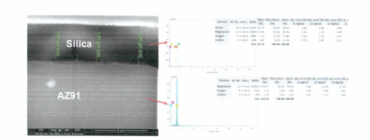 질산 전처리 코팅 단면 SEM 사진과 EDX 성분분석