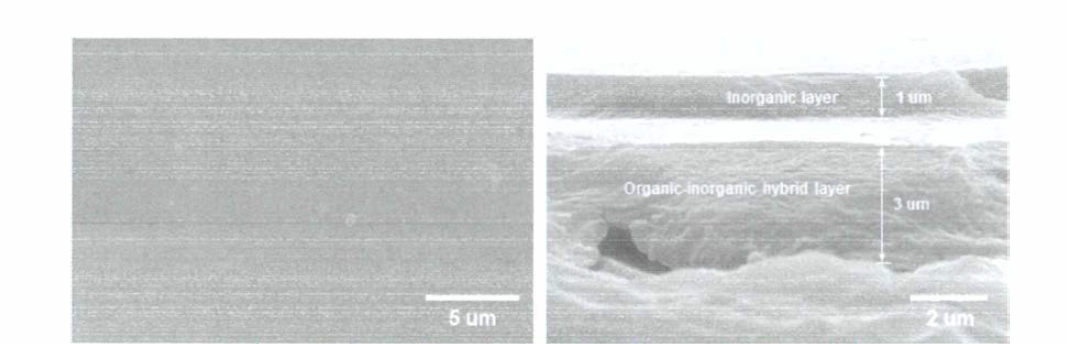 2차 코팅샘플의 평면(左), 단면(右)의 SEM 사진