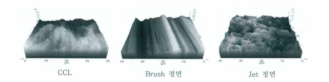 AFM을 이용한 정면처리별 표면특성