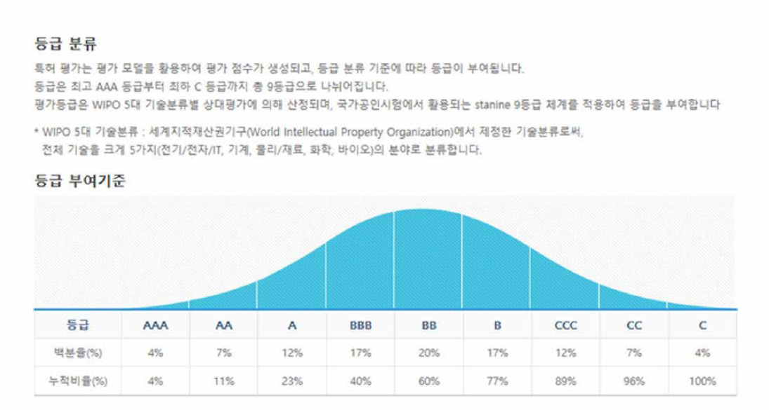 SMART 3.1 특허분석 평가시스템의 평가 등급 분류