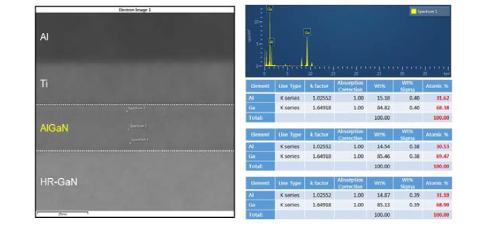 AlGaN/GaN HEMT TEM 단면 이미지 및 EDS 성분분석 결과