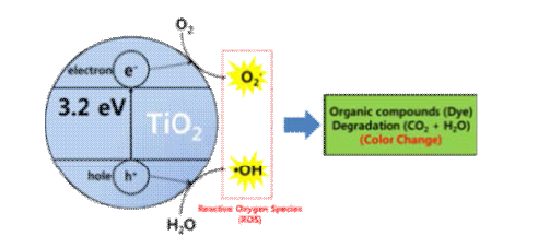 TiO2의 활성산소종 생성 및 염료 분해 메커니즘 모식도