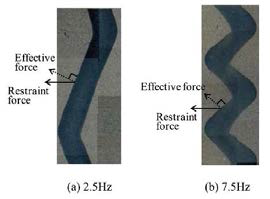 appearance of laser beam weaved specimen