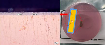 구리 선재에 15㎛ 타겟으로 내막층 딥코팅 후 단면 이미지