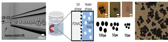 미세 유체 제어를 이용한 탄성 입자 제조 및 맴브레인 기반 입자 제작 과정과 미세 입자 전도성 고분자 광학현미경 사진