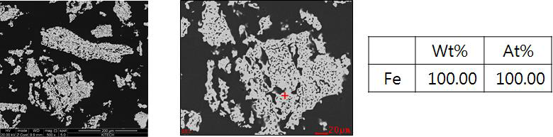 H2가스 및 CO가스에 의해 1030 ℃에서 2시간 동안 환원된 철분말의 미세구조 및 위치별 성분