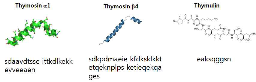 Thymosin α1, β4 및 Thymulin의 구조 및 아미노산 서열