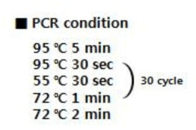 수밀성 측정위해 적용된 PCR공정