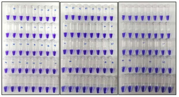 50ul 분주 뒤 30 PCR cycle 뒤 측정한 잔류량 (50ul 잔류는 표기없음)