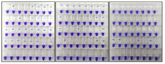 50ul 분주 뒤 30 PCR cycle 뒤 측정한 잔류량