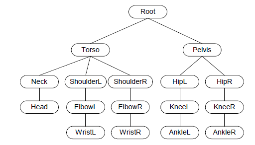 Hierarchical graph of skeleton joints