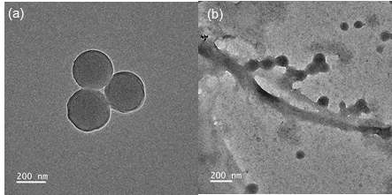 TEM image of (a) PMBA/PFSM core-shell nanoparticles, and (b) PMBA/PFSM cellulose fiber nanocomposite