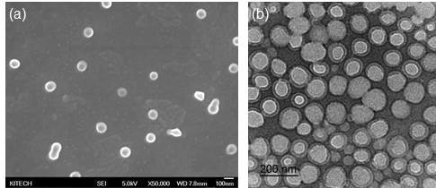 The morphologies of P(MMA-co-BA)/Polythiourethane core-shell nanoparticles