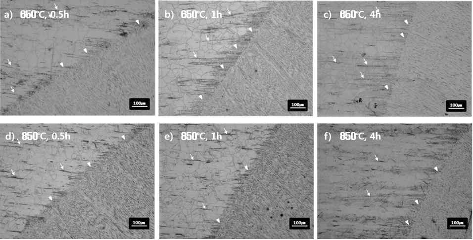 모재부 및 HAZ의 650℃ (상), 850℃ (하) 0.5, 1, 4시간 열처리 조직사진