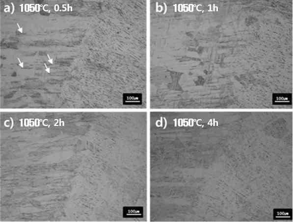 모재부 및 열영향부의 1050℃ 0.5, 1, 2, 4시간 열처리 조직사진