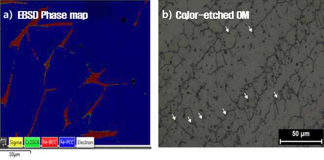 Cr23C6가 austenite/delta ferrite 입계에 석출되었음을 나타내는 EBSD Phase map 및 Color-etched OM 사진