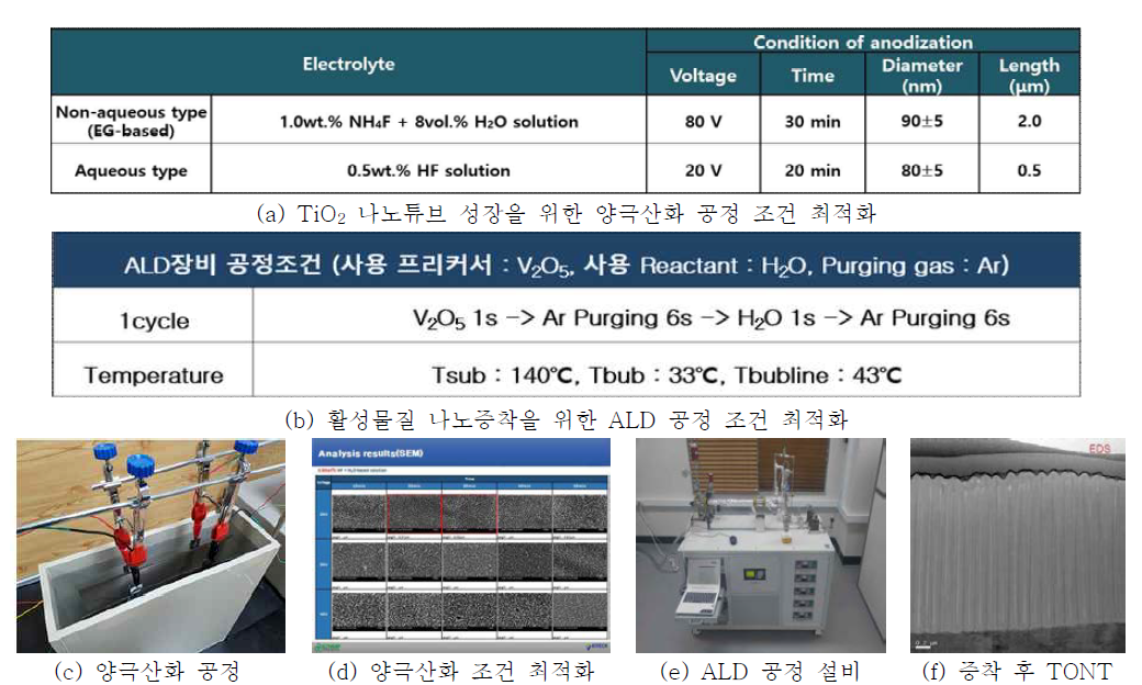 양극산화를 통해 제조한 TiO2 나노튜브 상에 ALD를 통한 활성물질의 증착